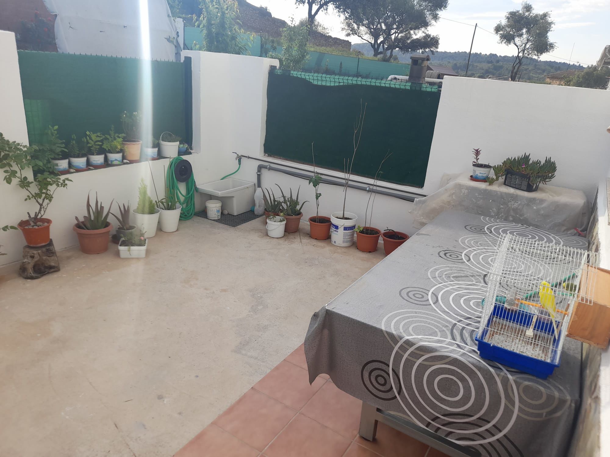 Fotografía del inmueble
