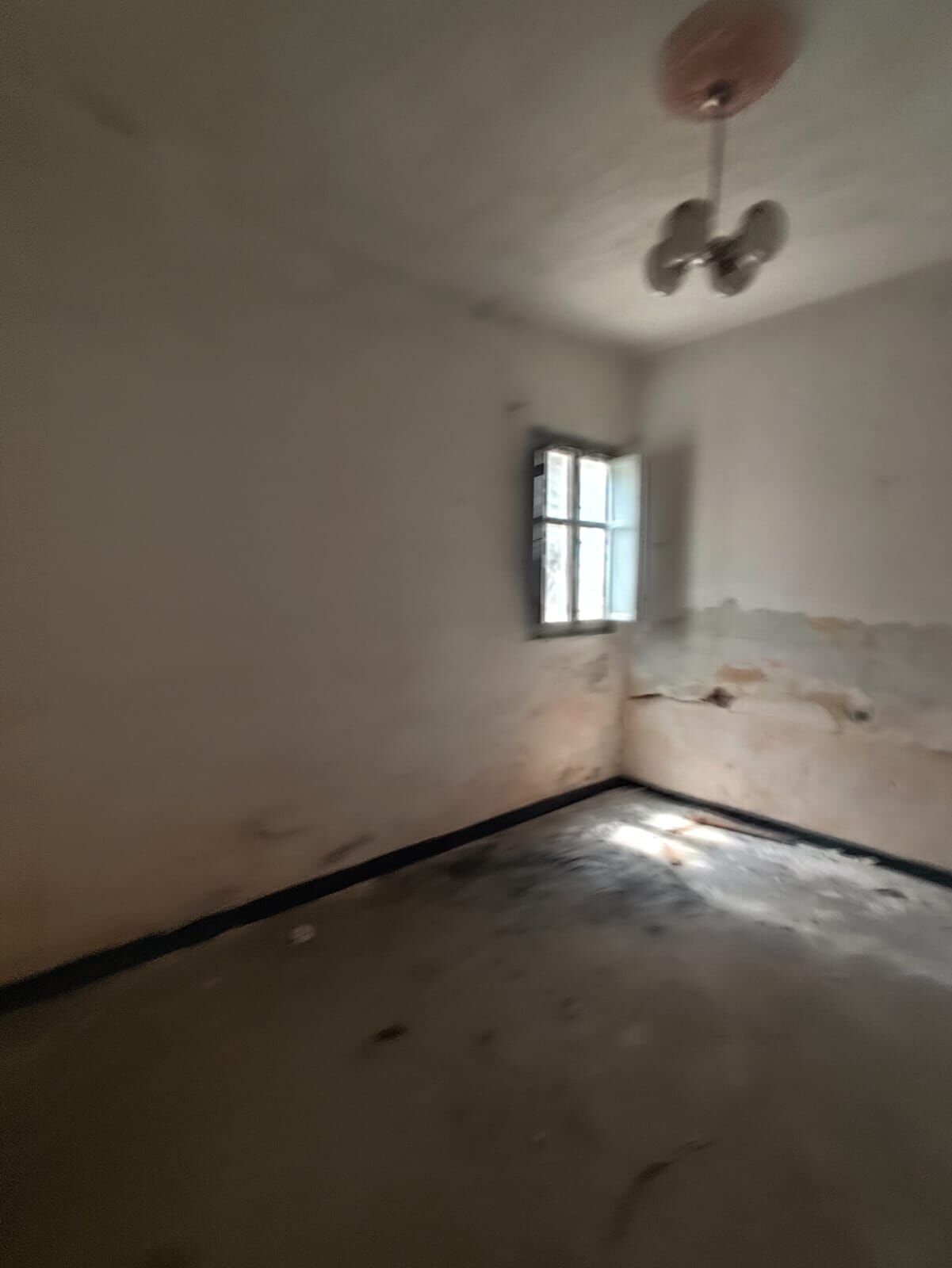 Fotografía del inmueble