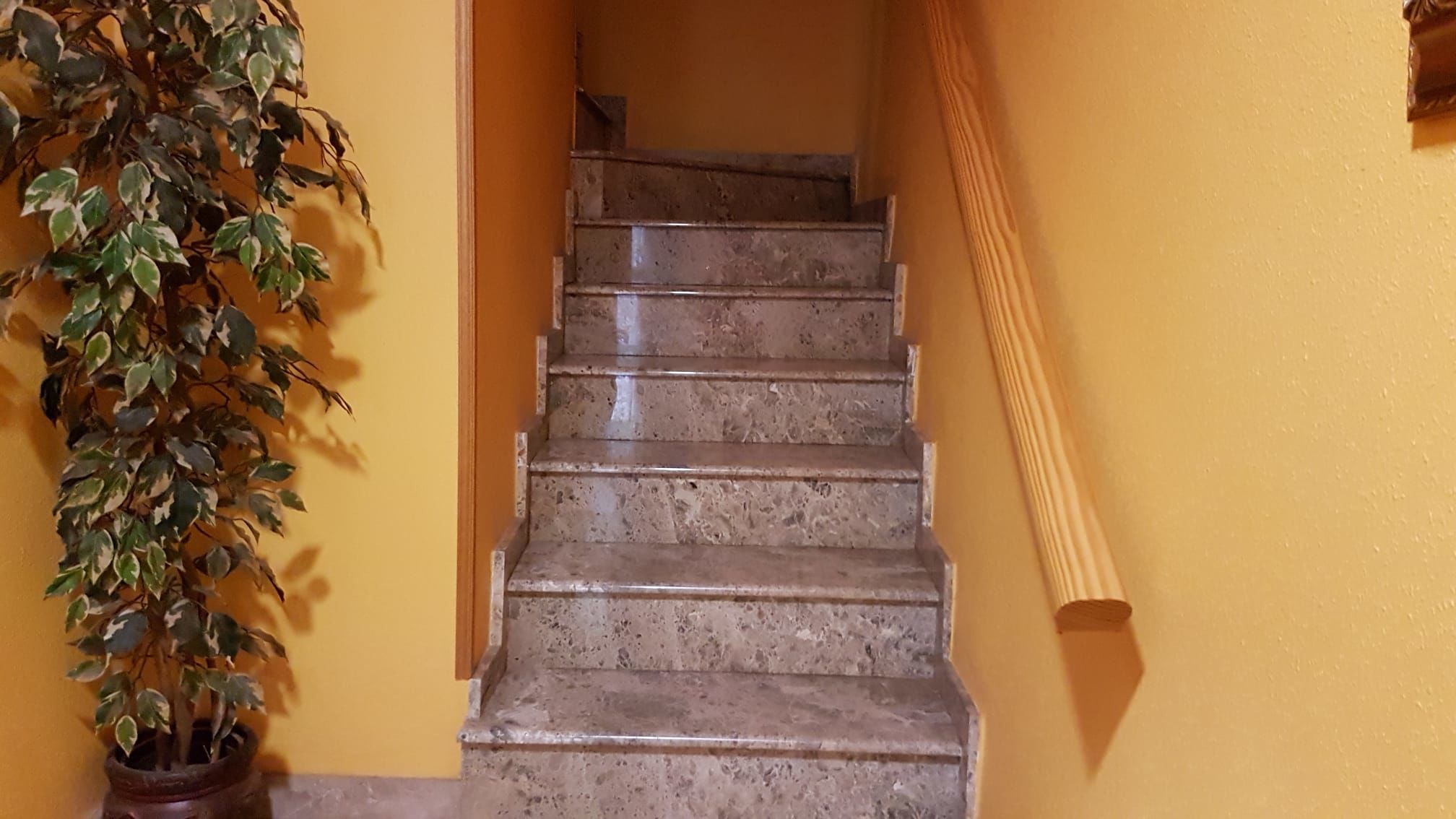 Fotografía del inmueble